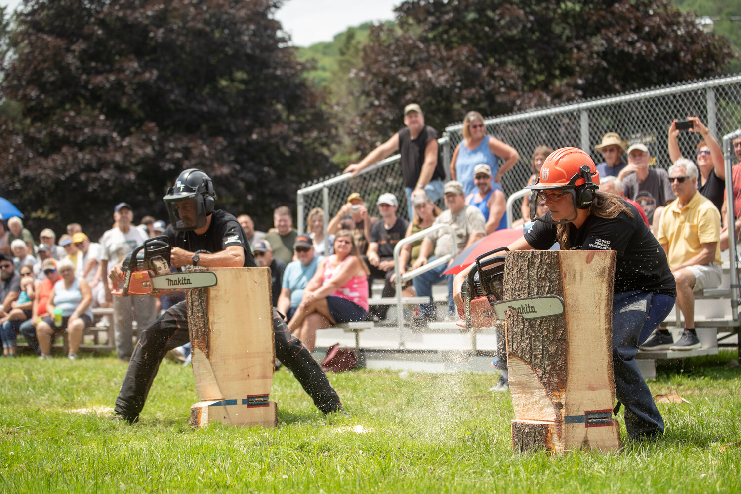 2024 Deposit Lumberjack Festival The Reporter (Catskills Today)